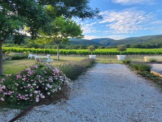 Parc de vacances Saint-Saturnin-lès-Apt Environnement 15
