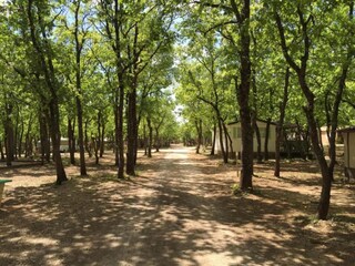 Ferienpark Saint-Saturnin-lès-Apt Umgebung 21
