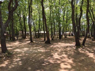 Holiday park Saint-Saturnin-lès-Apt Environment 17