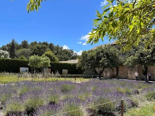 Parc de vacances Maussane-les-Alpilles Environnement 15