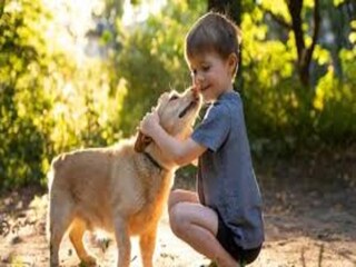 Vakantiepark Maussane-les-Alpilles  28