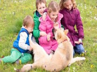 Vakantiepark Maussane-les-Alpilles  29