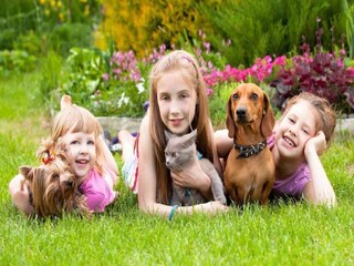 Holiday park Saint-Palais-sur-Mer  27