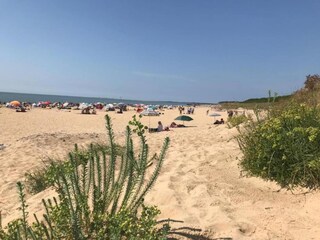 Vakantiepark Saint-Palais-sur-Mer Omgeving 20