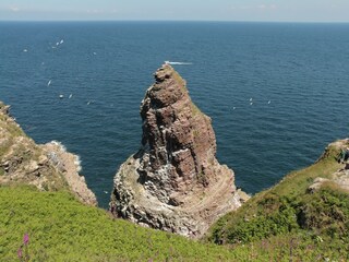 Ferienpark Plurien Umgebung 18