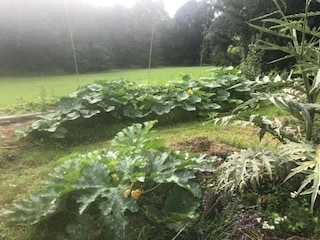 Ferienpark Bergerac Umgebung 19