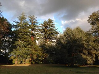 Parc de vacances Montignac Environnement 17