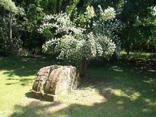 Holiday park Montignac Environment 27