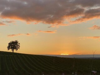 Vakantiepark Crozon Omgeving 21