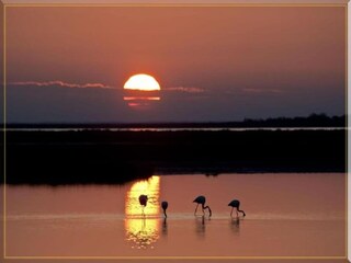 Vakantiepark Saint-Pons-la-Calm Omgeving 20