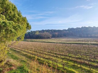 Parc de vacances Saint-Pons-la-Calm Environnement 17