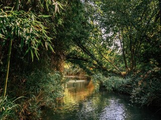 Vakantiepark Saint-Pons-la-Calm Omgeving 10