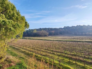 Parc de vacances Saint-Pons-la-Calm Environnement 26