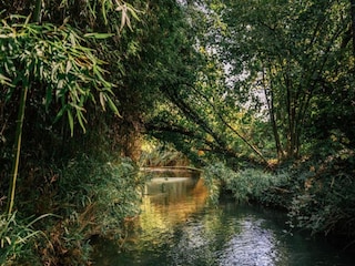 Ferienpark Saint-Pons-la-Calm Umgebung 13