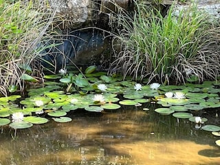 Parc de vacances Saint-Pons-la-Calm Environnement 23