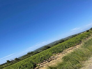 Ferienpark Saint-Pons-la-Calm Umgebung 20