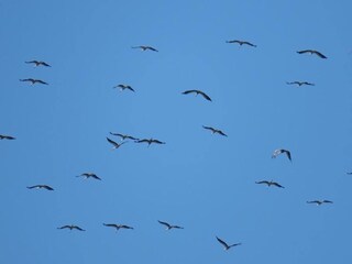 Vakantiepark Saint-Pons-la-Calm Omgeving 24