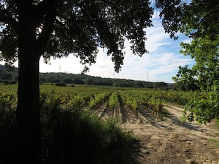 Parc de vacances Saint-Pons-la-Calm Environnement 25