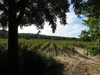 Vakantiepark Saint-Pons-la-Calm Omgeving 25