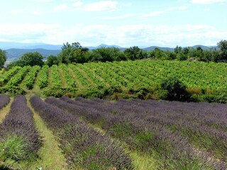 Parc de vacances Saint-Privat-de-Champclos Environnement 13