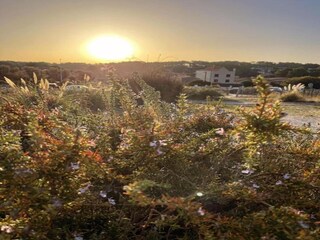 Ferienpark Lacanau Umgebung 61