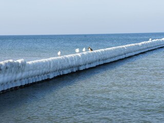 Ostsee in Zingst im Winter