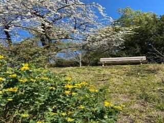 Vakantiepark Cheillé Omgeving 19