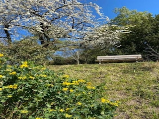 Ferienpark Cheillé Umgebung 18