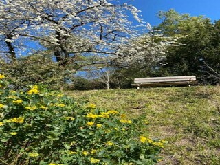 Parc de vacances Cheillé Environnement 18