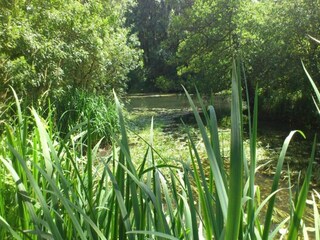 Vakantiepark Cheillé Omgeving 17