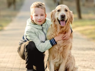 Ferienpark Cheillé  28