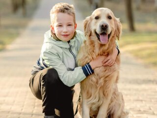 Parc de vacances Cheillé  28