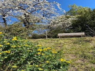 Ferienpark Cheillé Umgebung 19