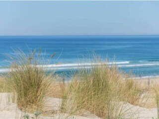 Parc de vacances Biscarrosse-Plage Environnement 22