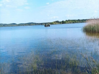 Holiday park Biscarrosse-Plage Environment 12