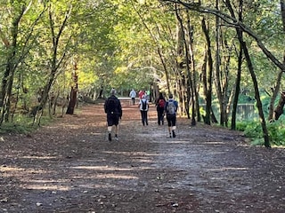 Ferienpark Biscarrosse-Plage Umgebung 19