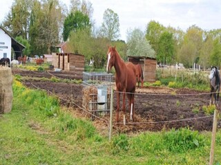 Holiday park Biscarrosse-Plage  28