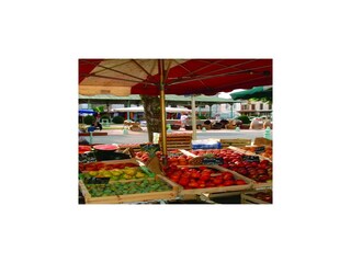 Holiday park Castelmoron-sur-Lot Environment 22