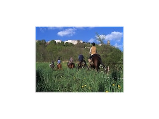 Vakantiepark Castelmoron-sur-Lot Omgeving 25