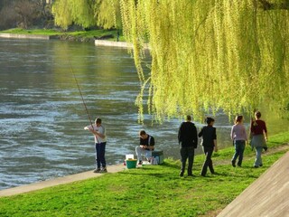 Holiday park Castelmoron-sur-Lot Environment 29
