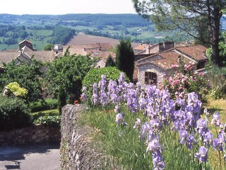 Holiday park Castelmoron-sur-Lot Environment 17