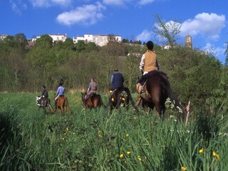 Parc de vacances Castelmoron-sur-Lot Environnement 18