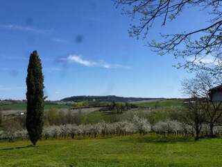 Vakantiepark Castelmoron-sur-Lot Omgeving 27