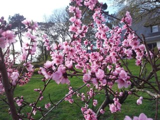 Vakantiepark Guidel Omgeving 24