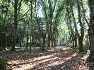 Parc de vacances Guidel Environnement 32