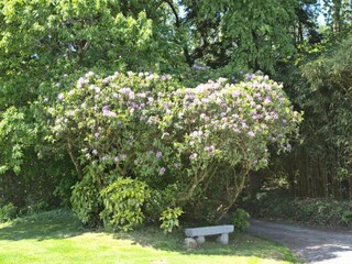 Vakantiepark Guidel Omgeving 18