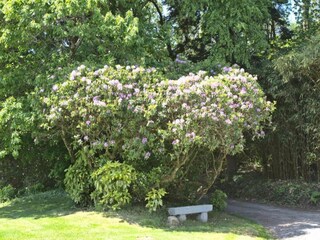 Vakantiepark Guidel Omgeving 25