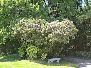 Vakantiepark Guidel Omgeving 17