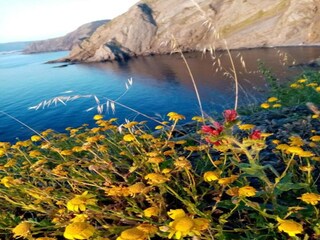 Parc de vacances Cerbère Environnement 48
