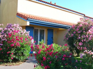 Vakantiepark Sainte-Marie Buitenaudio-opname 2